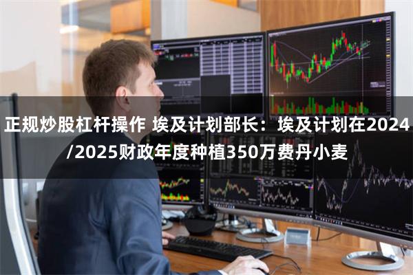 正规炒股杠杆操作 埃及计划部长：埃及计划在2024/2025财政年度种植350万费丹小麦