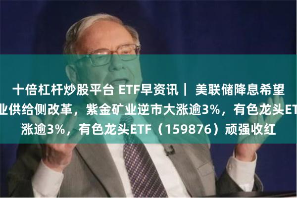 十倍杠杆炒股平台 ETF早资讯｜ 美联储降息希望重燃，降碳方案推进铝业供给侧改革，紫金矿业逆市大涨逾3%，有色龙头ETF（159876）顽强收红