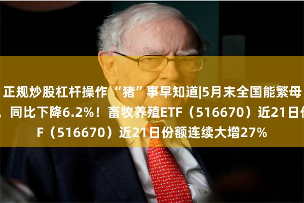 正规炒股杠杆操作 “猪”事早知道|5月末全国能繁母猪存栏3996万头，同比下降6.2%！畜牧养殖ETF（516670）近21日份额连续大增27%