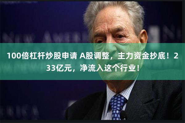 100倍杠杆炒股申请 A股调整，主力资金抄底！233亿元，净